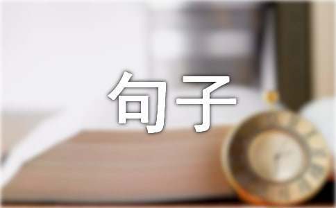 野人篮球训练营招生_2