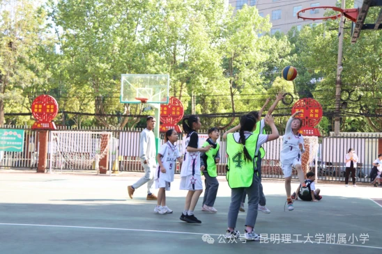 绳梯训练篮球_1